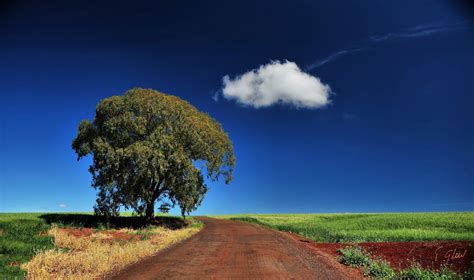 Papel De Parede X Px Nuvens Campo Panorama Rvores