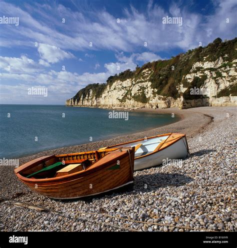 Boats On The Shingle Beach At Beer Devon UK With The Cliffs In The