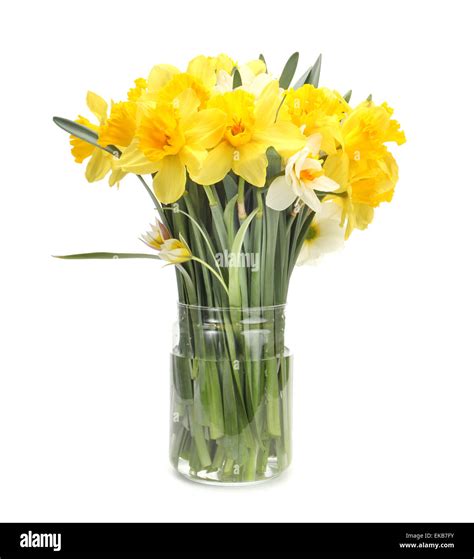 narcissus flower bouquet Stock Photo - Alamy