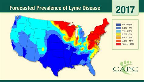 Dog Virus 2024 States Orsa Trenna