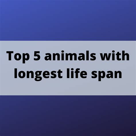 Top 5 Animals with Longest Life Span