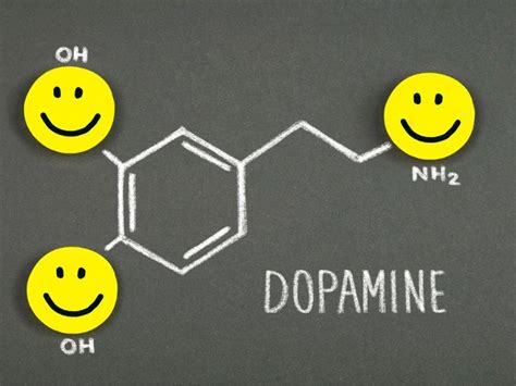 Dopamin Detoksu Nedir Nas L Yap L R