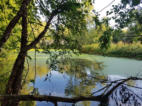 Pamela Park Wetland Restoration Project Minnehaha Creek Watershed