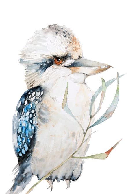 Kookaburra Print Australian Bird Art Wall Art Kookaburra Painting