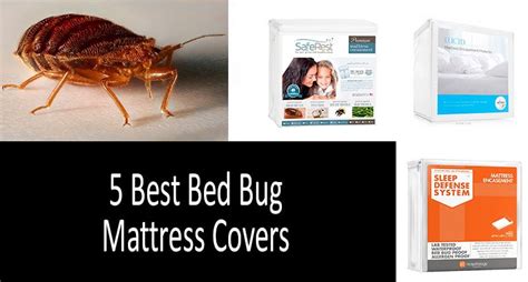 Top Best Bed Bug Mattress Covers Protectors Review