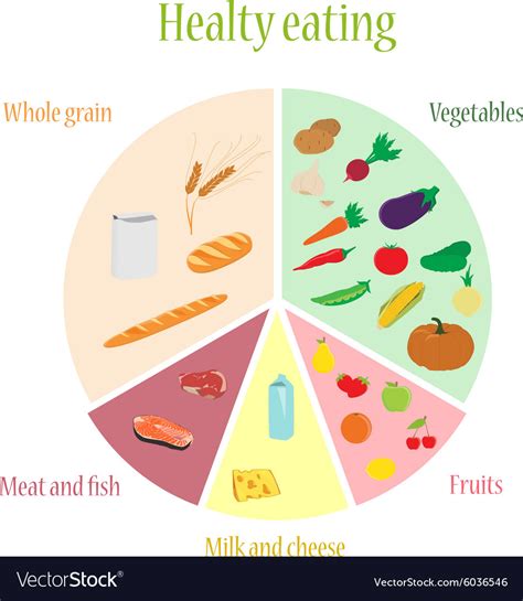 Healthy eating chart Royalty Free Vector Image