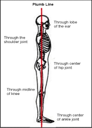 Why Do People Keep Nagging Me About Good Posture Pivotal Physio