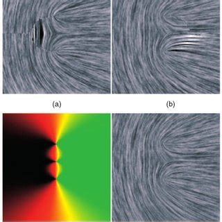 (PDF) Interactive Tensor Field Design and Visualization on Surfaces