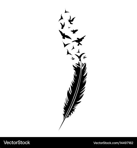 Black And White Feather On White Background Vector Image