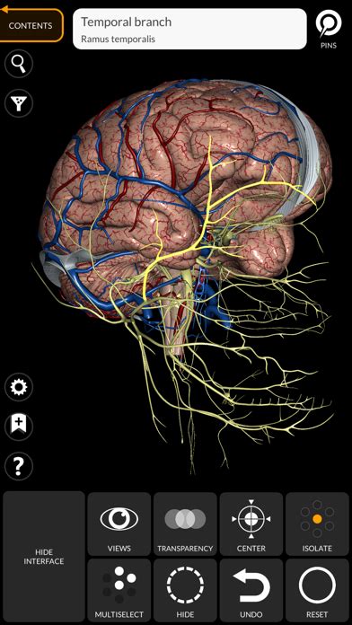 Anatomy 3d Atlas Iphone App