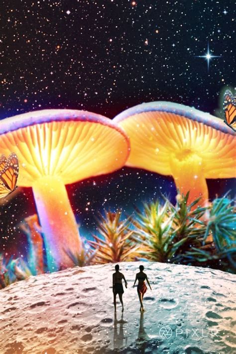 Two People Are Walking On The Moon In Front Of Some Butterflies Flying