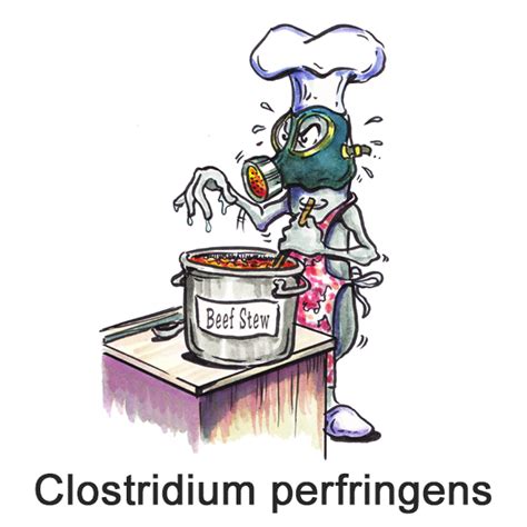 nanobugs® | Clostridium perfringens