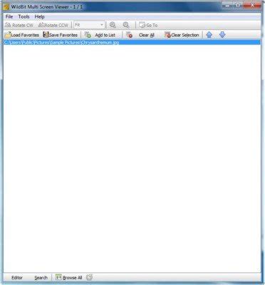 Wildbit Image Viewer Slide Show Editor Software For Photo Lovers
