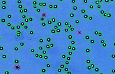 The Ultimate Guide To Cell Viability Measurement