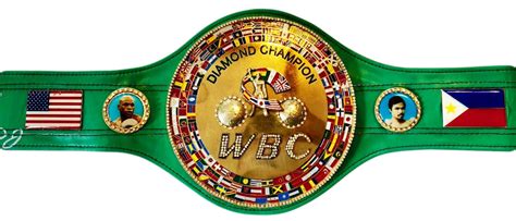 Floyd Mayweather Jr. Signed WBC Diamond Championship Belt (JSA FULL LE ...