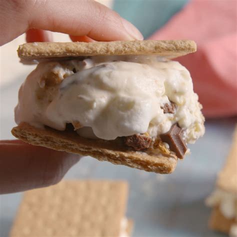 Best S Mores Ice Cream Sandwiches Recipe How To Make S Mores Ice