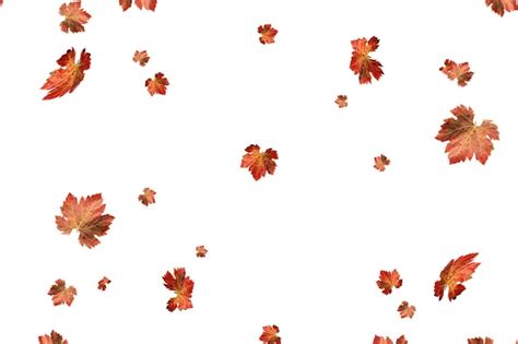 Premium Photo Autumn Fall Banner With Falling Maple Leaves Flying