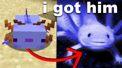 I Bought A Minecraft Axolotl In Real Life Youtube