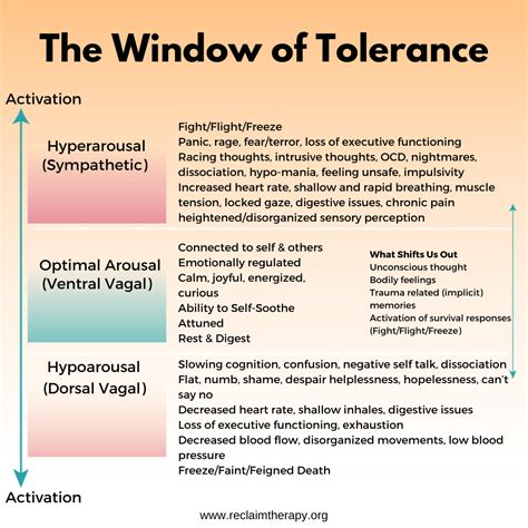 Understanding Your Window Of Tolerance Trauma Therapy Helps