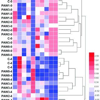 Heatmap Combined With The Dendrogram Of Cluster Analysis Based On The