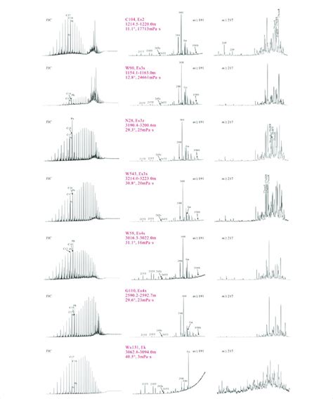 Representative Gas Chromatograms Mz 191 And 217 Mass Chromatograms