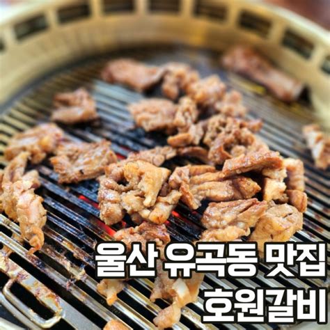 울산 고기 맛집 돼지갈비가 맛있던 곳 추천 유곡동 호원갈비 네이버 블로그