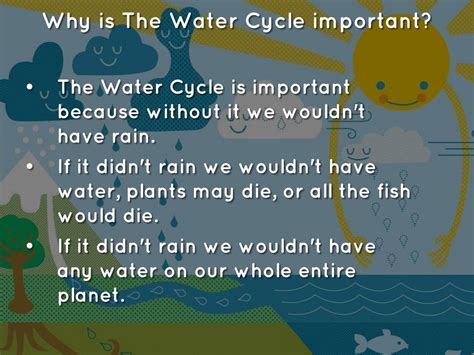 Water Cycle Facts