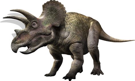 Triceratops Walking With Wikis The Free Walking With Encyclopedia