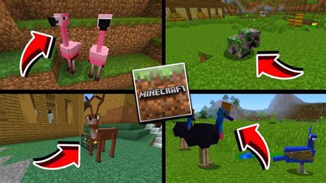 Finalmente Novos Animais Adicionados No Minecraft Pe Pocket Edition