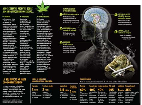 Coordenadoria Municipal de Prevenção as Drogas PortalVR Maconha faz