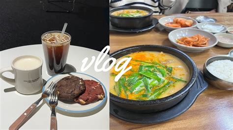 Vlog 👩🏻‍🍳먹방 브이로그 국밥 먹방 순대 국밥 강아지 산책 친구랑 수다 다이어터 유지어터 요리 브이로그