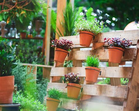 Pallet garden wall ideas: 15 quick and cheap DIY projects | Gardeningetc