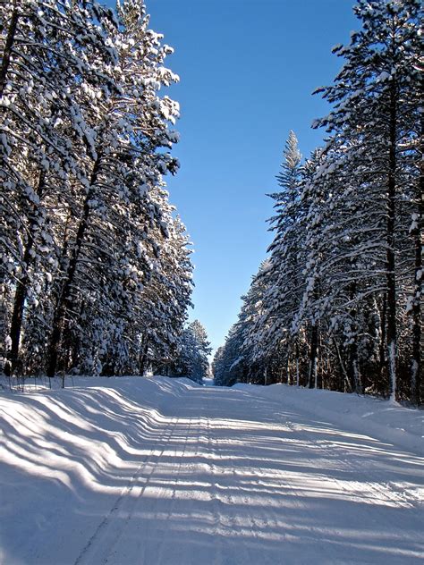 Bill's Magical Mystery Tour...: A Real Northern Minnesota Winter