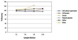 R D Systems Human Pro Cathepsin B Quantikine Elisa Kit One Well