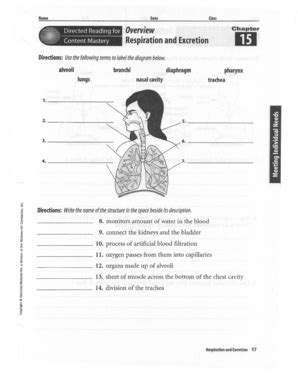 Fillable Online Name Date Class Directed Reading For Overview Hi Fax