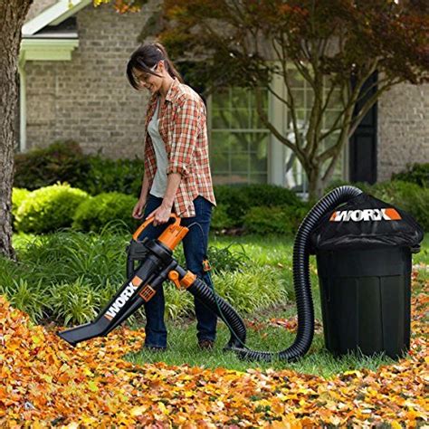 Top 10 Best Walk Behind Leaf Vacuum (2024 Tests & Reviews) - Best ...