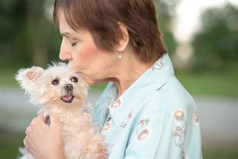 Chloe’s Story: A Fresh Start for a Senior Dog - Nom Nom