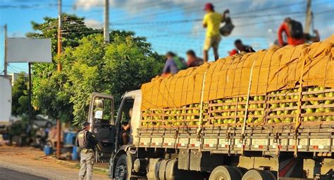 PRF Flagra Oito Pessoas Sendo Transportadas Em Cima De Carga Em