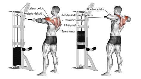 How To Do Rear Delt Cable Pull Correctly