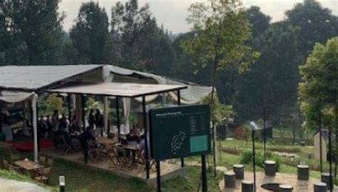 Tidak Berijin Obyek Wisata Di Gunung Mas Tetap Diresmikan Rakyat Bogor