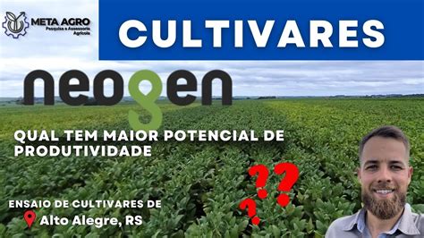 Cultivares De Soja Neogen Qual A Melhor YouTube