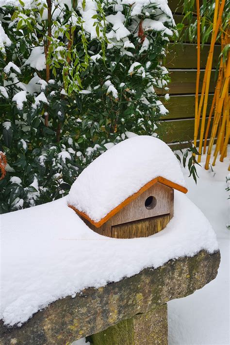 Planten In De Tuin Beschermen Tegen Vorst Florera Nl