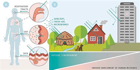 How Buildings Influence The Microbiome And Thus Human Health Thomas Bosch