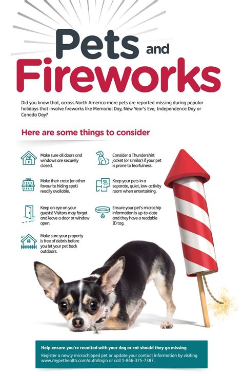 24petwatch Canada Fireworks Safety Tips For Pets