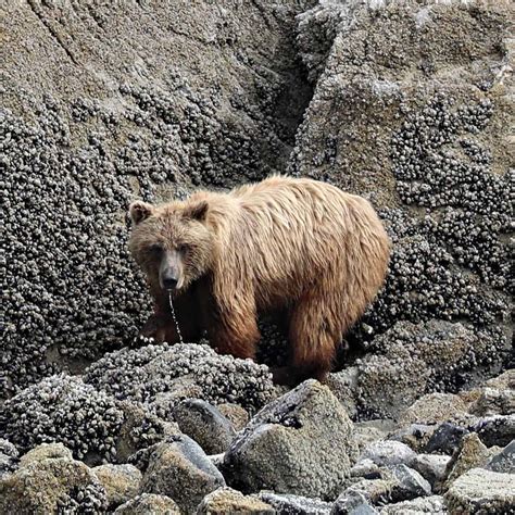 Glacier Bay Boat Tour - Glacier Bay National Park | Park Ranger John