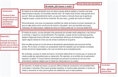 C Mo Hacer Un Ensayo Consejos Y Ejemplo Pr Ctico Como Hacer Un