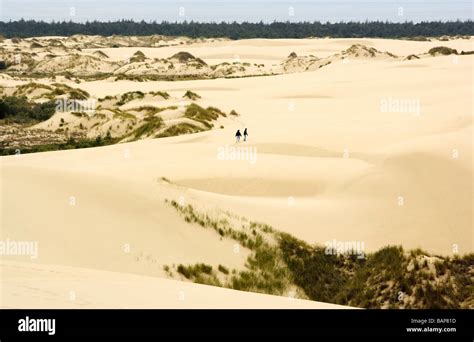 Sand Dunes - Oregon Dunes National Recreation Area - Reedsport, Oregon Stock Photo - Alamy