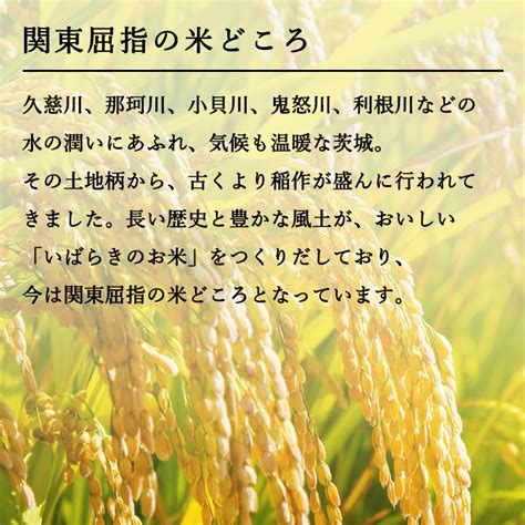 先行予約 】 令和5年産 茨城県産 コシヒカリ ・ あきたこまち 大容量 食べ比べ セット 精米 20kg 5kg × 2袋 ×