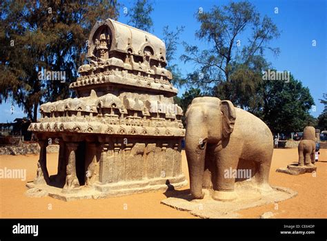 pancha rathas  rathas elephant sculpture mahabalipuram