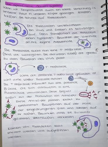 Immunbiologie Karteikarten Quizlet